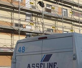 Asseline image 2