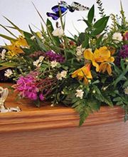 P.F. Eurolimpide - AFMR image 1