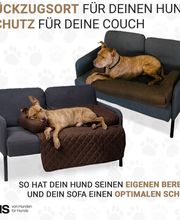 DBULLDOG GmbH Bild 2