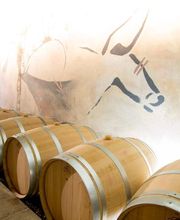 Vignobles Dubard image 4