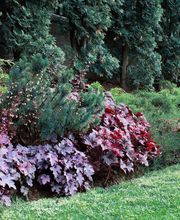 Hausmeisterservice Neumann Bild 2