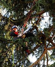 Tachet Pierre-Hubert image 1