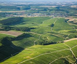 Domaine Fourrey image 3