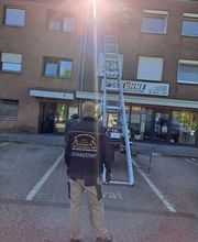 Die Umzugslöwen De Moll Bild 4