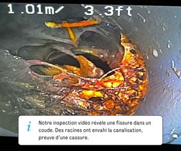 Allo la Fuite image 14