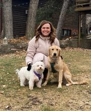 Dog Guard Midwest image 8