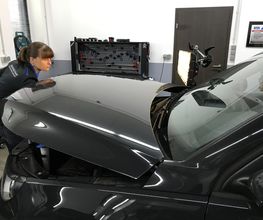 Dellentechnik Arnold Bild 1