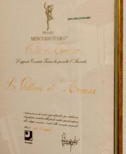 Gallery Professionale