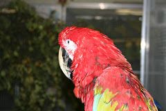 Zoofachgeschäft Schlanstedt