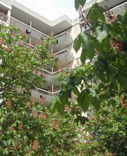 Les Palatines image 7