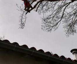 Arbroservice image 11