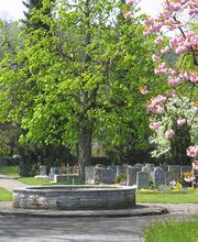 Gartenkultur Daniel Ruprecht AG Bild 2