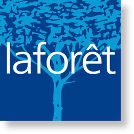 LA FORET IMMOBILIER GAP