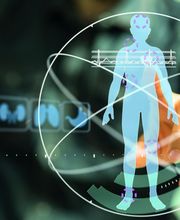 Chenevez Sébastien image 4