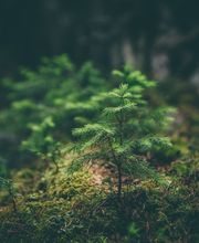 Holzbau Ibbeken Bild 2