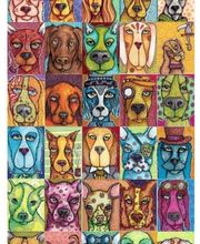portada-veterinaria-en-alcala-de-guadaira.jpg
