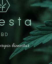Foresta CBD and More imagen 8