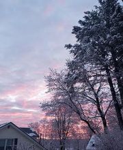 Joyce Torelli - Broker, Real Estate Consultant image 12