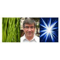 Chauveau Thierry - Magnétiseur