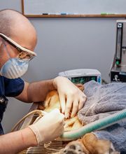 Rockford Veterinary Clinic image 9