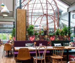 Restaurant Amazonica (Wilhelma Stuttgart) Bild 2