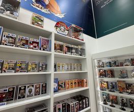 Gallery Cliente
