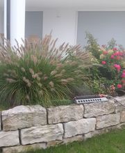 Grün & mehr Garten- und Landschaftsbau Thorsten Merkle Bild 12