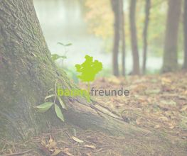 baumfreunde Bild 1