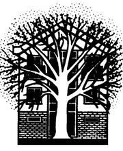 Pension Steiner Bild 3