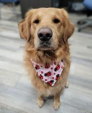 Barkley Heating & Air LLC image 5