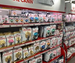 Qua la Zampa di Alessia Milani Termini Bild 5
