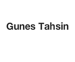 Gunes Tahsin image 2