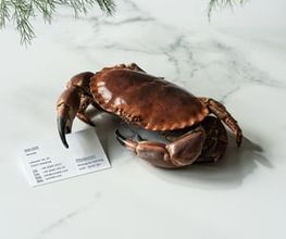 Ein edles Corporate-Foto zeigt eine Krabbe auf weißem Marmor, flankiert von Visitenkarten der Marke „Rochelle“. Die Aufnahme vereint hochwertige Produktinszenierung mit minimalistischer Eleganz.