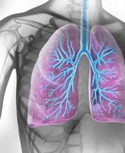 Pneumologische Gemeinschaftspraxis Dres. Tzimas Bild 2