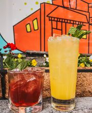 The Cherry Cricket image 12