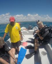 Flying Fish Tulum imagen 4