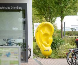 braun Hörgeräte Offenburg Bild 3