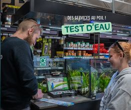 Tom&Co Denain image 6