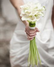 dieblumenbinder Bild 1