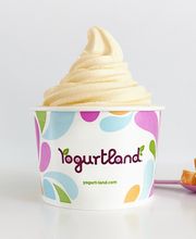 Yogurtland Montgomery Plaza image 15