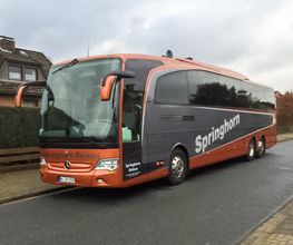Springhorn Reisen Bild 6