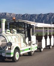 Société petit train animations image 1