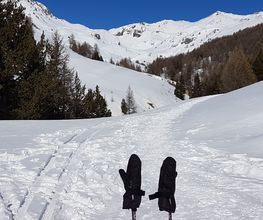 Hôtel Le Chamois image 3
