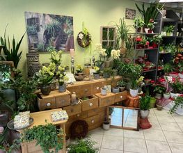 Blumengeschäft Efeulaube Bild 7