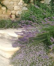 Jardinservice SARL image 4