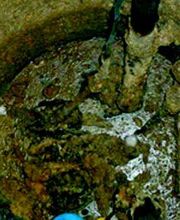 Dos-F Desatrancos imagen 7