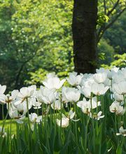 Résidence La Source SA