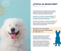 216171108-1-mn2LhZuAZS1764611536357.jpeg