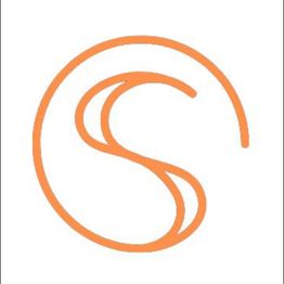 Solution S.r.l. logo
