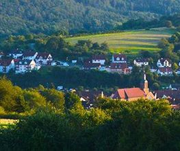 Gemeinde Mömlingen Bild 1